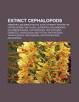 Extinct Cephalopods: Prehistoric Cephalopods, Belemnoidea ...