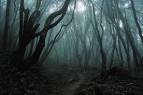 darkness forest