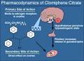 Pharmacodynamics of clomiphene citrate