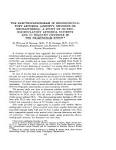 <b>NEUROCIRCULATORY ASTHENIA</b>