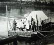 Barnum Brown - Wikipedia, the free encyclopedia