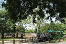 Paddle boats on Irvine Park Lake - Picture of Irvine Regional Park ...