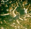 The Idea of Festival