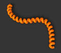 Dynamic Phone Cord