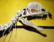 220px-Dilophosaurus_skull.jpg