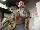 Giant Black Throat Monitor - FaunaClassifieds Photo Gallery