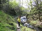 area of natural woodland - via Daymix