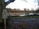 of the pond's ecosystem. - via Daymix