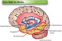 HowStuffWorks "Studying Déjà Vu"