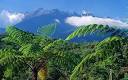 Borneo: Frank Gardner braves Mt Kinabalu in a wheelchair - Telegraph