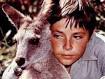 (Skippy le kangourou du bush). - skippy-steve-irwin-australie-2