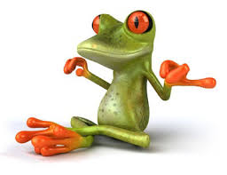 http://t2.gstatic.com/images?q=tbn:ANd9GcSjQLZfv-YFs_Eq05fdaj9JPq4oHcE900p4dNKECrT1EmuauOoXaQ