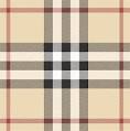 Thomas Burberry…the man behind the brand