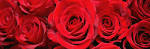 Valentines Day - Facts, Origin, Meaning and Videos - History.