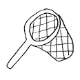 Net