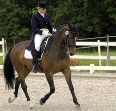 Juni 2012. Viel Lob für Dressurturnier in Haltingen. Silke Ramschütz gewinnt beide S-Prüfungen im St. Georg / Doppelsieg für Andreas Platzdasch.