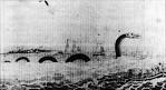 sea serpent