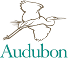 National Audubon Society | Social Media Agency | Banyan Branch