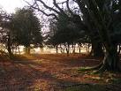 Early morning on the edge of - via Daymix