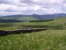 NY4701 : Walls White Moss - via Daymix