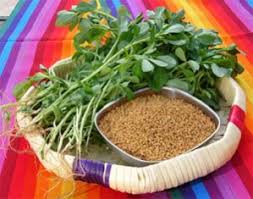 fennel diabetes