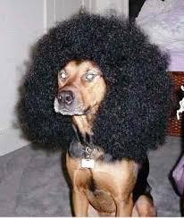 http://t2.gstatic.com/images?q=tbn:ANd9GcSldoTLlSUPXpUgzFKsK8N6KVsO36R0Hbf1sRwYiJcOCEqDL6lGdw