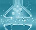 SSRI Withdrawal Procedure: Getting Off Antidepressants May Be Made ...