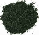 SALVIA Effects | Purchase SALVIA