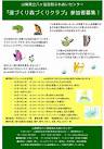 山梨県立八ヶ岳自然ふれあいセンター『道づくり森づくりクラブ』参加者 ...