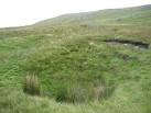 There are many shake holes on this moorland above the Cliff Beck valley - via Daymix