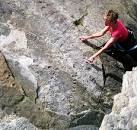 Fossil trail of giant myriapod - via Daymix