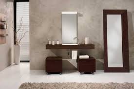 bathroom designs big mirror