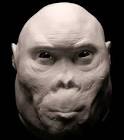 Homo rudolfensis lived around