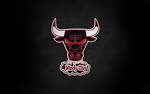 CHICAGO BULLS | Home Decorating Ideas