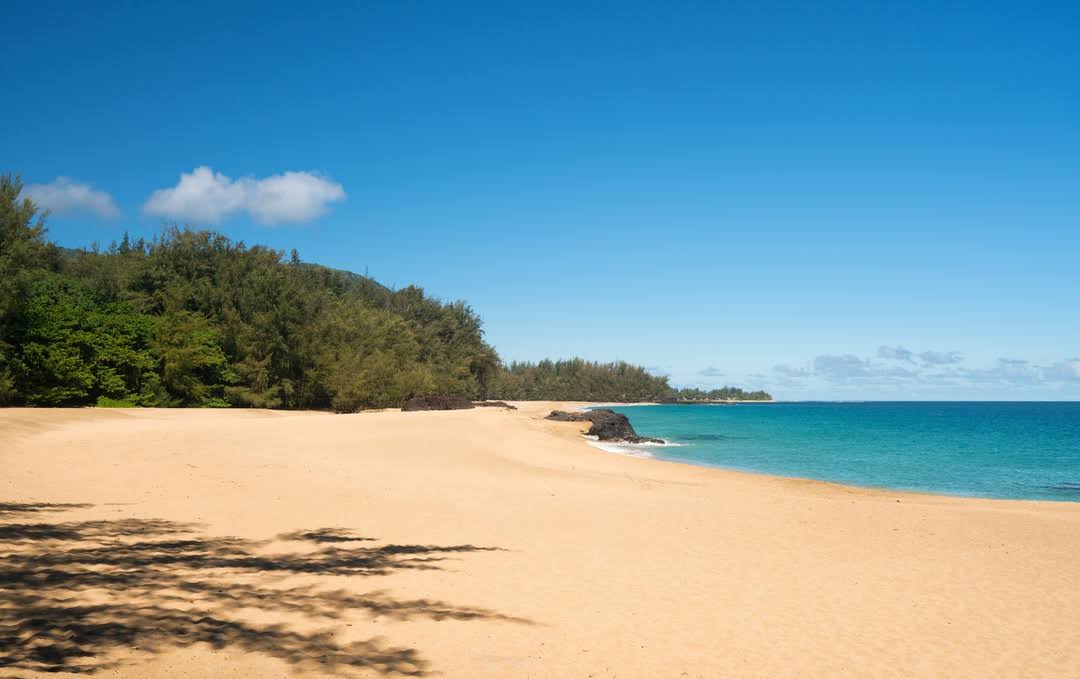 Lumaha'i Beach'in fotoğrafı ve güzel manzarası