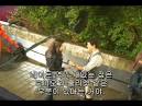 Disney Channel Korea