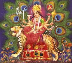 I must destroy stuff on purpose like Kali