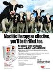 LP&amp;M Advertising Agency | Fort Dodge Animal Health | Mastitis Trade Ad