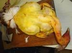 File:CHAPON DSC09884.jpg - Wikipedia, the free encyclopedia
