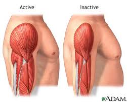 how to gain muscle