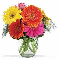 Teleflora Coupon Code