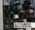 AV女优苍井空衣橱曝光