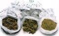 EMCDDA | Cannabis drug profile