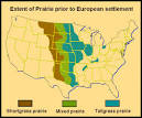 Flora and Fauna of the Great Plains