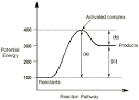 Chemestry 11 Lessons: Feb. 16 Endothermic &amp; Exothermic Reactions!!