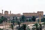 Syrian forces, civilians flee as Islamic State storms ancient city.