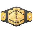 List of WCW Championships - CAW Wrestling Wiki