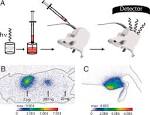 Nanoprobes with near-infrared persistent luminescence for in vivo ...