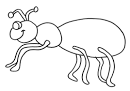 Ant coloring page