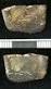 crystalline inclusions. - via Daymix